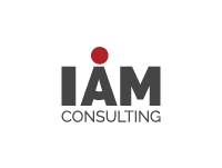 g-IAMconsulting